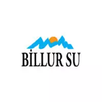 logo billursu